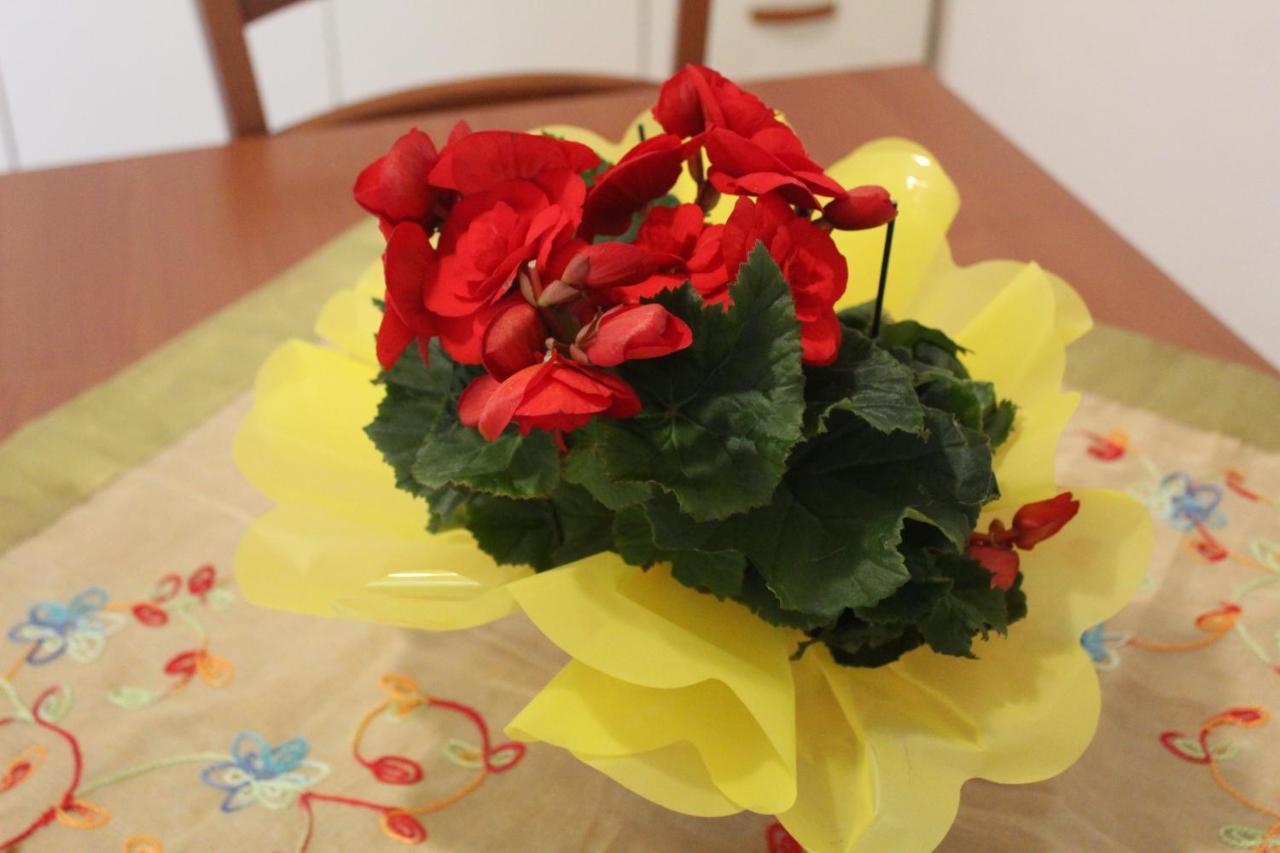 Appartamento Hibiscus Marausa Esterno foto
